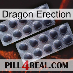 Dragon Erection 31